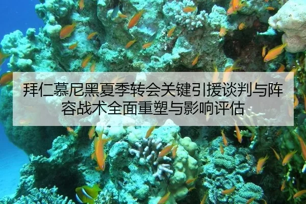 拜仁慕尼黑夏季转会关键引援谈判与阵容战术全面重塑与影响评估
