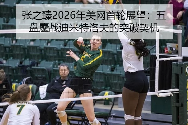 张之臻2026年美网首轮展望：五盘鏖战迪米特洛夫的突破契机
